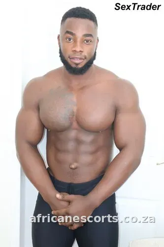 Israel, African escort in Edenvale, photo 3